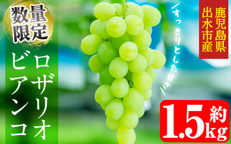 i212 ᐔʁEԌ⃍UIrAR (v1.5kg) Ԃǂ O[v ʕ  t[c   i { 肵Â ① yRԂǂz
