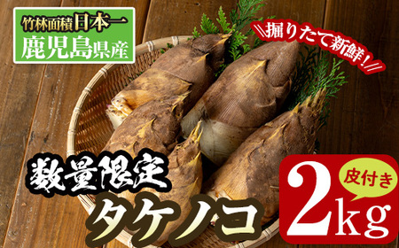 i230 ≪先行予約受付中!2025年3月下旬から4月中旬の間に発送≫鹿児島県出水市産!たけのこ[皮付き2kg] たけのこ 筍 タケノコ 国産 皮付き 野菜 旬 新鮮 採りたて 煮物 味噌汁 炊き込みご飯[イーサイドライン]