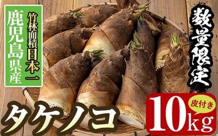 i365 �ᐔ�ʌ���I��s�\���t���I2026�N4����{�`4�����{�̊Ԃɔ����\��⎭�������o���s�Y�I�^�P�m�R����t��10kg�� �����̂� � �^�P�m�R ���Y ��t�� ��� �{ �V�N �̂肽�� �ϕ� ���X�`