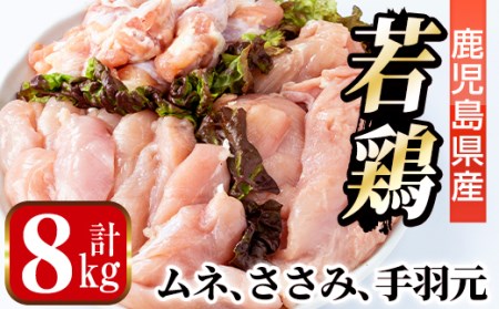 i449 若鶏ムネ肉・手羽元・ささみ(計8kg)鹿児島県産の鶏肉を3種お届け  鶏肉 鳥肉 とり肉 ムネ むね肉 手羽元 ささみ 詰め合わせ セット 国産 鹿児島県産 計8kg 安心安全【まつぼっくり】