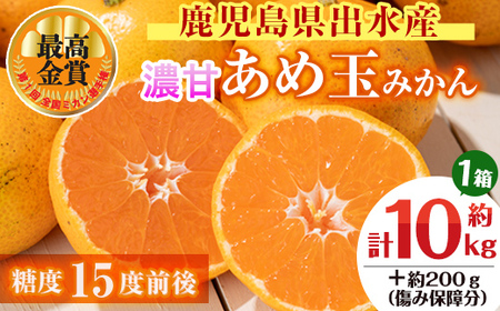 i572 s\tI2025N11{`2026N1{̊Ԃɔ\聄yʍ͔|Eō܁zB݂{IZÂߋʂ݂(10kgE1{ݕۏ 200g(3`4)  ݂  ~J