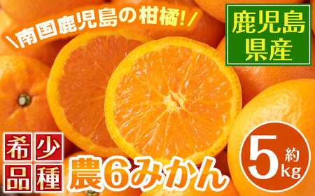 i585 [2026年3月下旬〜6月中旬の間に発送予定]農6みかん(約5kg) 果物 フルーツ 柑橘 国産 鹿児島県産 みかん 蜜柑 [江崎果樹園]