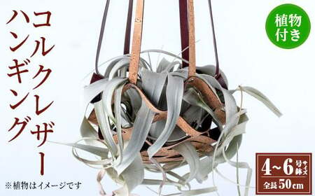 i617 コルクレザーハンギング(植物セット)地球環境や動物に配慮した素材で作られたプラントハンガー！プラントハンガー 吊り下げ 観葉植物 エアプランツ 地球環境 グリーン インテリア 癒しの空間 植物ホルダー おしゃれ空間 ギフト 贈り物【kurk PLANT LEATHER】