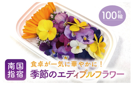 季節のエディブルフラワー(約100輪)(MICHI-FARM/010-1526) 花 食べられる花 食用花 エディブル フラワー 彩り 旬 飾り トッピング