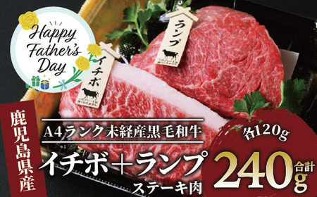 [父の日ギフト][A4ランク未経産黒毛和牛][指宿育ち]イチボ+ランプステーキ各120g(Meat you/012-1184f) 指宿 鹿児島 肉 グルメ 肉 牛肉 ステーキ イチボ ランプ 和牛 黒毛和牛 父の日 ギフト プレゼント 贈り物