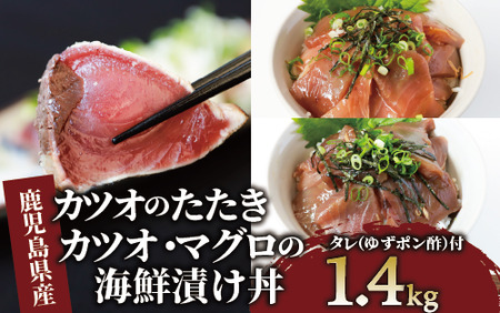 カツオのたたき (約800g)と マグロ ・ カツオ の 海鮮 漬け丼 (各100g×3P) セット (山川町漁協/010-1647) 海鮮 海鮮丼 カツオ かつおのたたき かつおたたき マグロ漬け丼 のっけ 海鮮丼 魚介類 魚介 お惣菜 惣菜 総菜 簡単 調理済み セット 指宿食品 漁協 指宿 山川 鰹節 鹿児島 国産 たたき 刺身 お刺身 魚 人気 冷凍 小分け 一人暮らし 食品 かつおのたたき タタキ かつおタタキ 