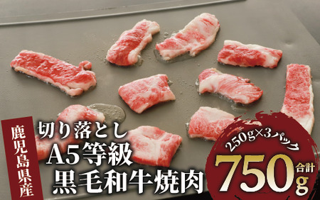 A5等級鹿児島県産黒毛和牛焼肉切り落とし750g(250g×3P)(カミチク/012-1659) 牛肉 牛 肉 お肉 黒毛和牛 黒毛 国産牛 国産 鹿児島県産 バーベキュー 切落し 切り落とし 和牛 A5 ランク ミスジ ウワミスジ インサイド ミックス キャンプ BBQ 野菜炒め 炒め物 家庭用 冷凍 小分け 焼肉用