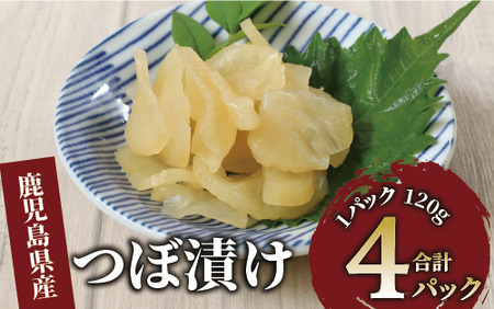 つぼ漬480g(120g×4P)(中園久太郎商店/005-1676) 漬物 漬け物 つけもの つぼづけ ずけ 鹿児島 指宿 いぶすき 久太郎 ご飯のお供 ごはんおとも ご飯 ごはん お試し 小容量 小分け ポスト投函 鹿児島県産 国産 醤油漬け しょうゆ漬け だいこん 大根