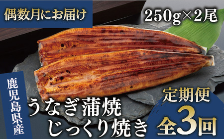 [全3回定期便・偶数月お届け]鹿児島県産 うなぎ 蒲焼 じっくり焼き約250g×2尾(大新/Z060-1695) うなぎ 国産 鹿児島 蒲焼 丑の日 丑 土用丑の日