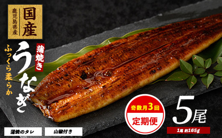[全3回 定期便・奇数月お届け]鹿児島県産 うなぎ 蒲焼 じっくり焼き約165g×5尾 大新 Z100-1697 うなぎ 鰻 蒲焼