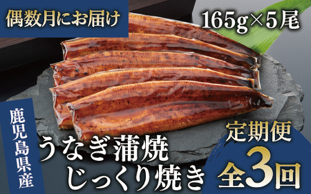 [全3回定期便・偶数月お届け]鹿児島県産うなぎ蒲焼じっくり焼き約165g×5尾(大新/Z100-1698) うなぎ 国産 鹿児島 蒲焼 丑の日 丑 土用丑の日