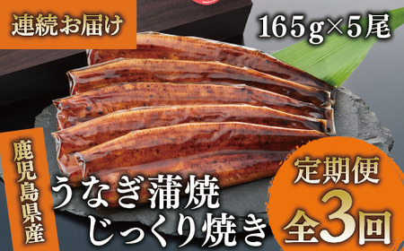 [全3回定期便・連続お届け]鹿児島県産うなぎ蒲焼じっくり焼き約165g×5尾(大新/Z100-1699) うなぎ 国産 鹿児島 蒲焼 丑の日 丑 土用丑の日