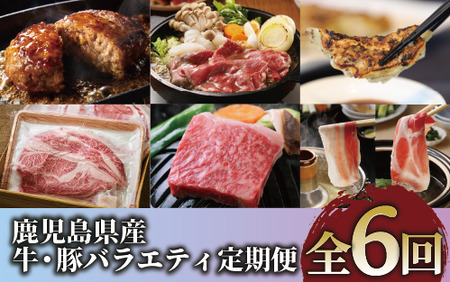 [全6回定期便]鹿児島県産牛・豚バラエティ定期便(Z120-1728) 牛 牛肉 肉 豚 豚肉 黒豚 茶美豚 サーロイン ステーキ 黒毛和牛 豚スライス スラ カタロース ウデスライス ハンバーグ 餃子 中華 中華料理 黒豚餃子 鍋 しゃぶしゃぶ