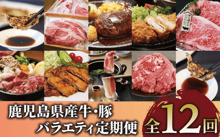 [全12回定期便]鹿児島県産牛・豚バラエティ定期便(Z180-1727) 牛 牛肉 豚 豚肉 肉 鹿児島県産 国産 鹿児島産 黒 茶美豚 黒豚 餃子 しゃぶしゃぶ すき焼き すきやき すき焼 総菜 惣菜 冷凍 黒毛和牛 ステーキ ハンバーグ スライス 切り落とし 切り落し 切落し 頒布会 セット 定期