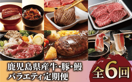 [全6回定期便]鹿児島県産牛・豚・鰻バラエティ定期便(Z100-1730) 牛肉 豚肉 うなぎ 鹿児島県産 鹿児島産 国産 定期 頒布会 スライス しゃぶしゃぶ すき焼き ハンバーグ 黒牛 黒豚 鹿児島黒 茶美豚 チャーミートン 焼肉 蒲焼 うなぎ蒲焼 6回