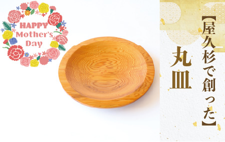 [母の日ギフト][屋久杉で創った]丸皿(高橋工芸/015-1869m) 工芸品 皿 お おさら 屋久杉 杉 木 木工 木材 インテリア 装飾 家 リビング オリジナル 一点もの 手づくり てづくり 手作り 木目 手作業 職人 鹿児島 自然遺産