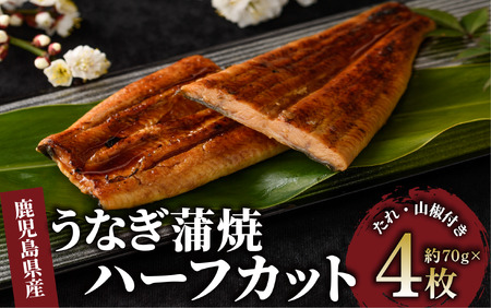 [鹿児島県産]うなぎ蒲焼じっくり焼きハーフカット約70g×4枚 化粧箱入り 大新 017-1901 うなぎ うなぎ うなぎ うなぎ うなぎ 鰻