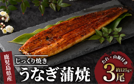 [鹿児島県産]うなぎ蒲焼じっくり焼き約125g×3尾 化粧箱入り 大新 016-1900 うなぎ うなぎ うなぎ うなぎ うなぎ 鰻