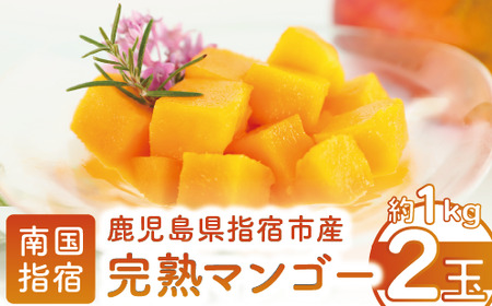 [2025年発送]完熟 マンゴー 2玉 約1kg 花立山農業研究所 022-1781 マンゴー フルーツ 果物
