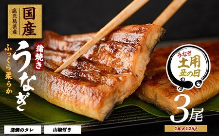 [丑の日に合わせてお届け!][鹿児島県産]うなぎ蒲焼じっくり焼き約125g×3尾 化粧箱入り(大新/016-1900u)[2025年7月9日〜7月19日お届け] 鰻 ウナギ 蒲焼 国産 丑の日 うな重 無頭 ギフト プレゼント 贈り物 贈答 惣菜 総菜 小分け レンジ 簡単 蒲焼き 冷凍 鹿児島県産
