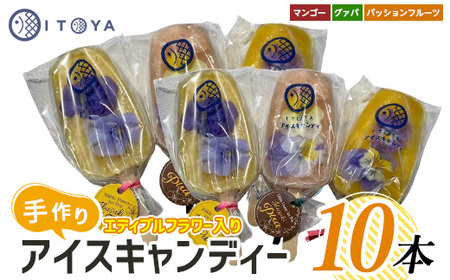 手作りアイスキャンディー エディブルフラワー入り 10本(たいやき絲や/010-1907) 鹿児島 手作り アイス アイスキャンディー 氷 氷菓子 スイーツ おやつ マンゴー グァバ パッションフルーツ セット 詰合せ 冷凍