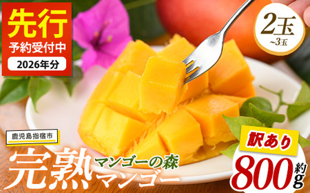 [訳あり]しあわせ完熟マンゴー 約800g(マンゴーの森/016-2055) 2玉 〜 3玉 国産 南国 指宿産 鹿児島 アップルマンゴー マンゴー 果物 くだもの フルーツ 完熟 産地直送 お取り寄せ