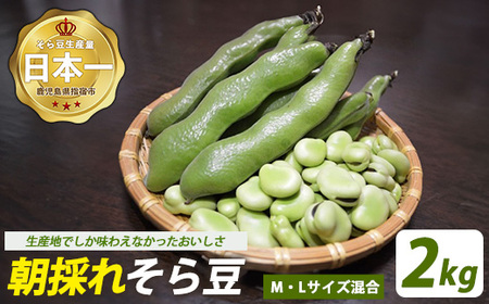 y2026N2{`zwhsY 瓤 2kg MELTCY (X/012-2075) 瓤 \} Y whY ̂  Y VN   ܂ 