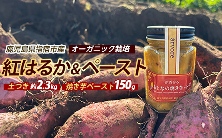 �g�͂邩��2.3kg�E���ƂȂ̏Ă����y�[�X�g1�r�Z�b�g (�}�c�L�A�O��/010-2077) ���܂��� �� �g�͂邩 �Ă��� ���� �I�[�K�j�b�N�͔|