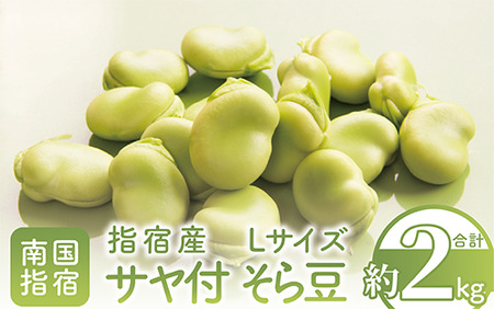 【そらまめ】サヤ付そらまめLサイズ約2kg(岡村商店/A-129) ソラマメ そらまめ そら豆