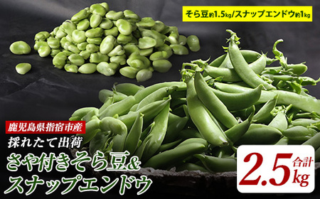 y2026N1{`zt瓤1.5kgƃXibvGhE1kg̃Zbg(AOX^C/A-207) ܂ \} ǂ {  T_ ~ wh 