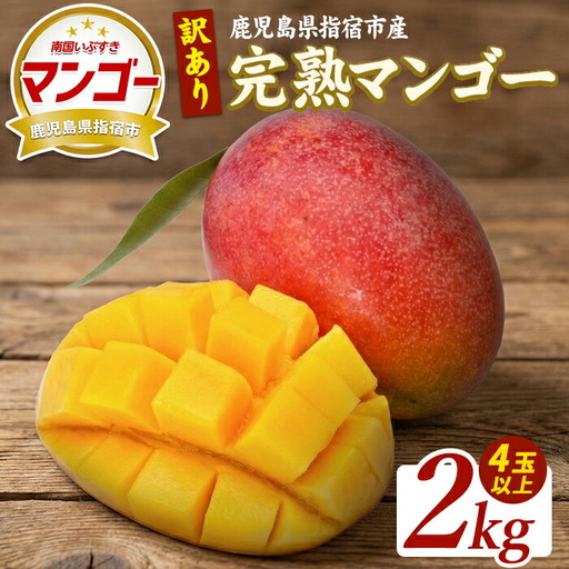 【2026年発送】【訳あり】鹿児島県指宿産 完熟マンゴー約2kg (室屋植物園/IB163-004) 訳あり ご家庭用 完熟 フルーツ 果物 果実 デザート スイーツ 南国