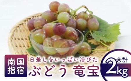 [2025年7月下旬〜順次発送]ぶどう(竜宝4〜6房)約2kg(迫田果樹園/016-1225) 葡萄 ブドウ フルーツ 果物 果実 旬 夏 果樹園
