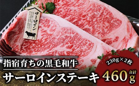 [A4ランク未経産黒毛和牛] サーロイン ステーキ 230g×2枚(Meat you/037-1183) 高級未経産 ステーキ 和牛 牛肉 サーロイン ステーキ 和牛 牛肉 ステーキ 和牛 牛肉