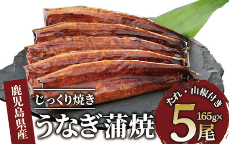 【鹿児島県産】うなぎ蒲焼じっくり焼き約165g×5尾 化粧箱入り(大新/037-1106)  うなぎ 国産 鹿児島 蒲焼 丑の日 丑 土用丑の日 