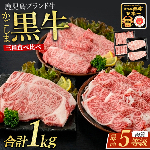 鹿児島黒牛サーロインステーキ＆すきやき食べ比べセット1kg JAいぶすき IB045-008 E301 牛肉 牛肉 