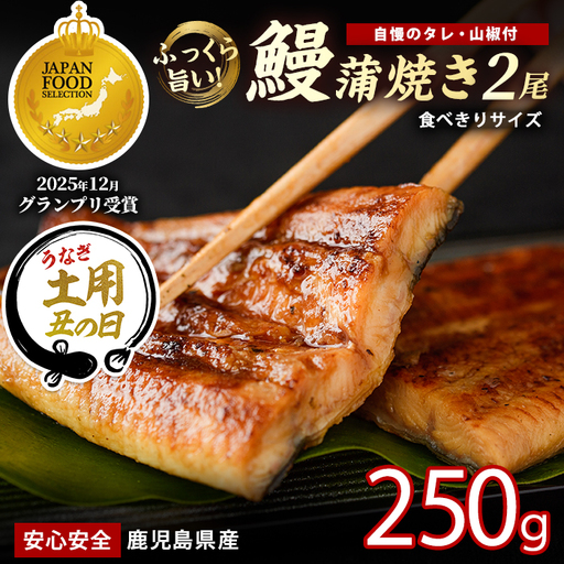 [丑の日に合わせてお届け!]鹿児島県産 うなぎ蒲焼 じっくり焼き約125g×2尾 化粧箱 入り(大新/IB021-011u) うなぎ
