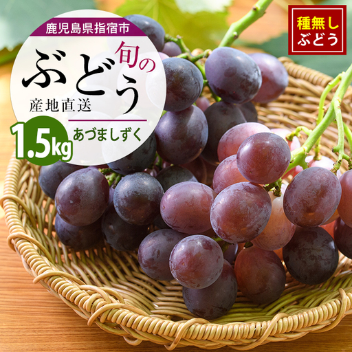[2026年7月上旬〜発送][期間限定]迫田果樹園のぶどう あづましずく 約1.5kg (迫田果樹園/IB064-010)