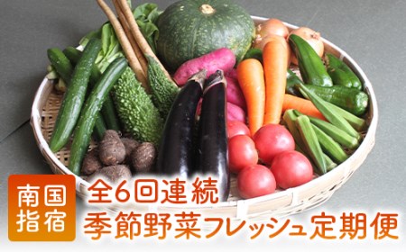 [定期便 全6回]季節野菜フレッシュ定期便(岡村商店/Z-018)