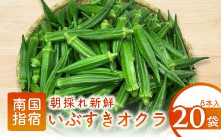 [2025年6月上旬〜発送!]夏の元気の源! 朝採れ新鮮いぶすきオクラ8本入り20袋(指宿促成青果/A-323) 野菜 夏野菜 旬 特産 夏 新鮮 オクラ 鹿児島 指宿市 お福分け おすそ分け