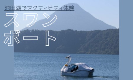 [池田湖でアクティビティ体験]スワンボート 60分間1台レンタル(えぷろんはうす池田/A-179)