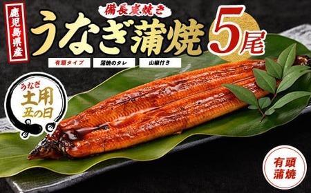 [丑の日に合わせてお届け!]鹿児島産鰻蒲焼5尾(奈良/036-1312u) [2025年7月9日〜7月19日お届け] うなぎ 国産 鹿児島 蒲焼 丑の日 丑 土用丑の日