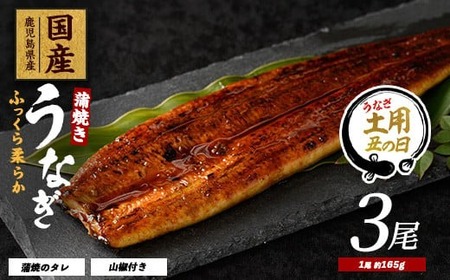 [丑の日に合わせてお届け!]鹿児島県産うなぎ蒲焼じっくり焼き約165g×3尾(大新/023-1105u) [2025年7月9日〜7月19日お届け] うなぎ 国産 鹿児島 蒲焼 丑の日 丑 土用丑の日