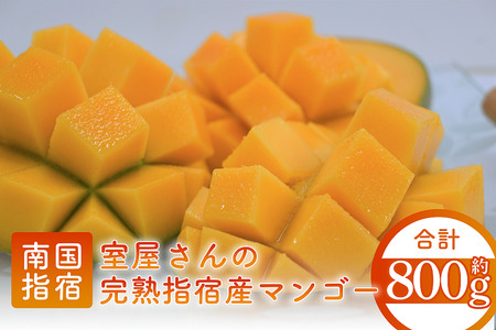 [2025年発送]完熟指宿産マンゴー800g前後2個〜3個入り 中園久太郎商店 016-1758 マンゴー マンゴー マンゴー マンゴー マンゴー