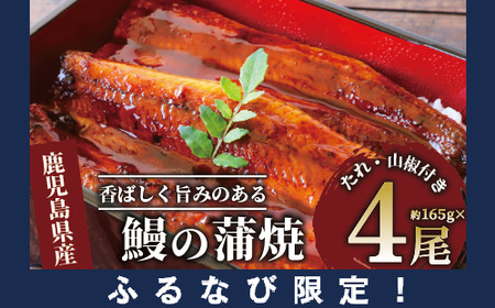 【ふるなび限定】鹿児島県産 鰻の蒲焼(無頭背開き)約165g×4尾(山中水産/033-1066) うなぎ 国産 鹿児島 蒲焼 丑の日 丑 土用丑の日 