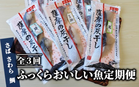 [全3回定期便]ふっくらおいしい灰干し魚定期便(浜上水産/Z-057) 定期便 灰干し 灰ぼし 海鮮定期便