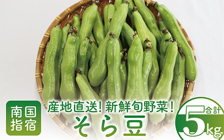 3月上旬～発送 【産地直送！新鮮旬野菜！】ご家庭用そら豆約5kg(指宿