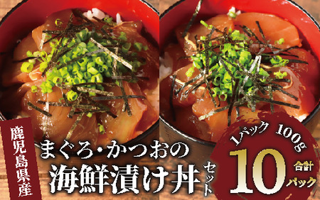 まぐろ・かつおの海鮮漬け丼セット100g×10パック(山川町漁協/A-419) 海鮮 海鮮丼