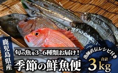 【指宿産直便】漁師が選ぶ季節の鮮魚便 お試しセット(指宿山川水産/A-227) 海鮮 鮮魚 