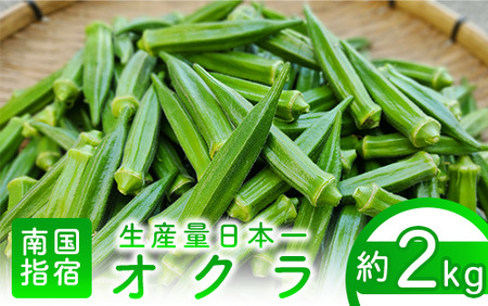 2024年6月上旬～発送！【生産量日本一】オクラ約2kg(JAいぶすき/013-1131) 野菜 夏野菜 夏 旬 フレッシュ ベジタブル いぶすき 鹿児島