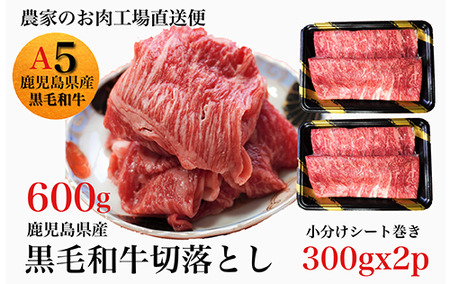 鹿児島県産黒毛和牛5等級切落し600g(水迫畜産/013-1291)牛肉 牛 国産